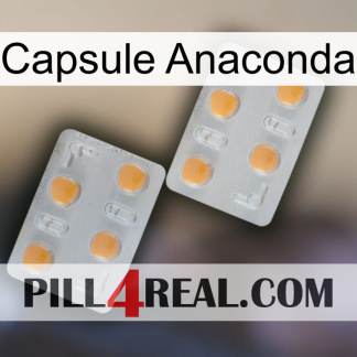 Anaconda Capsule 25